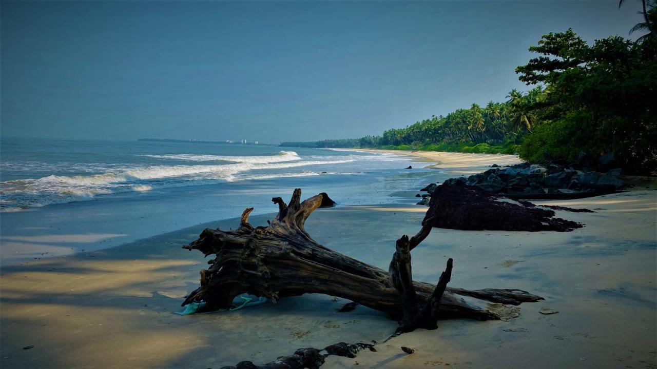 White Shell Beach House Kannur Extérieur photo