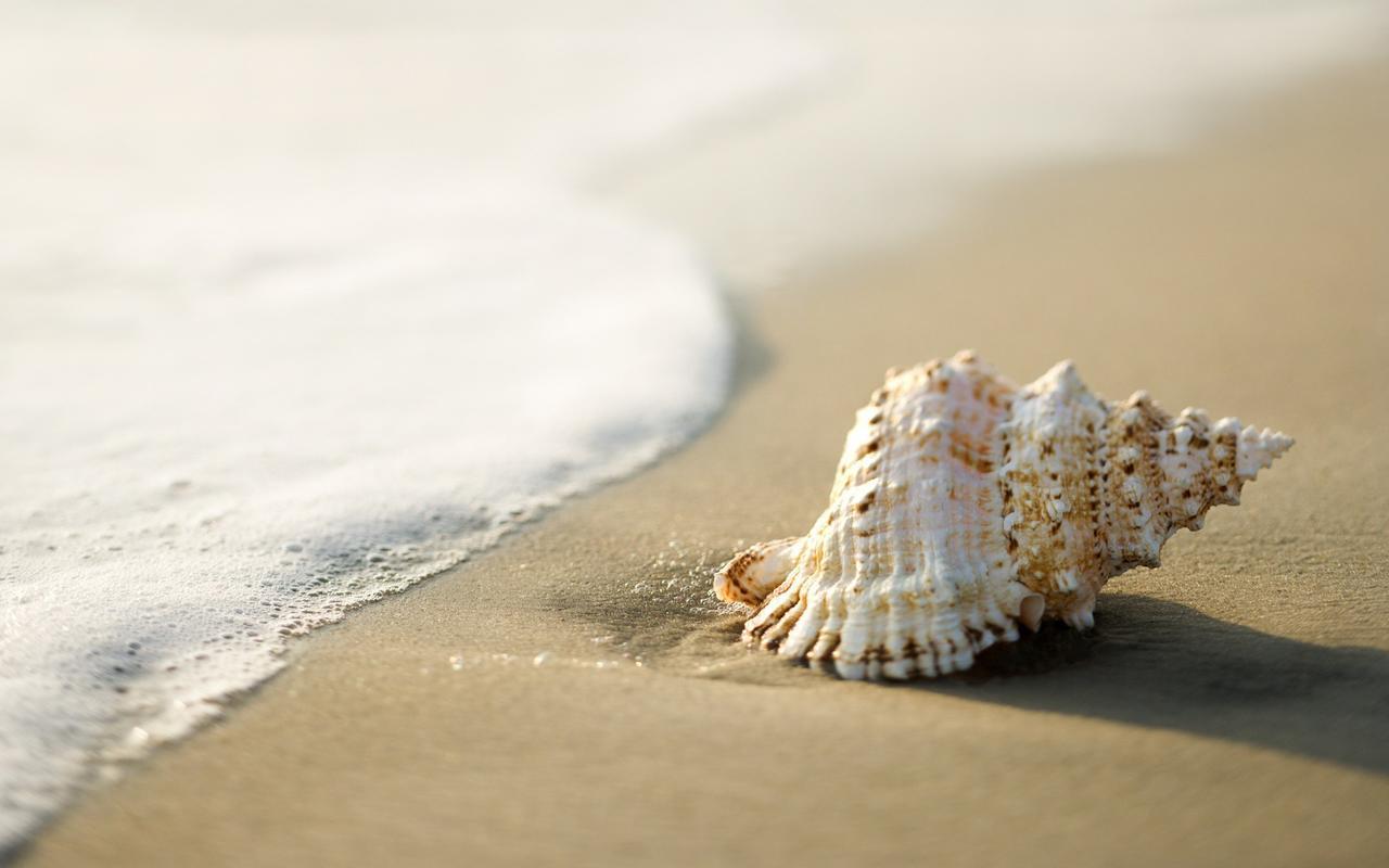 White Shell Beach House Kannur Extérieur photo